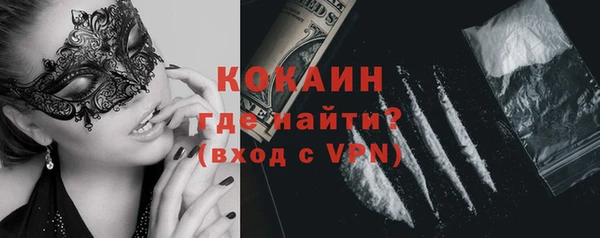 метадон Алексин