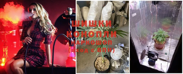 метадон Алексин