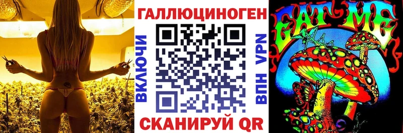Галлюциногенные грибы GOLDEN TEACHER  Владимир 